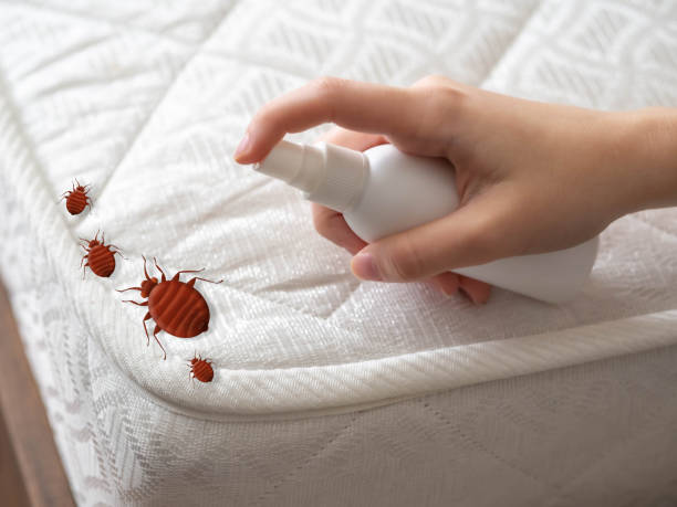 Best Affordable Pest Control Services  in Sewaren, NJ